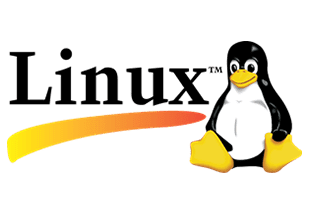 Yazılımcılar için Temel Linux