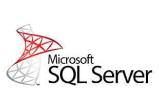 Microsoft SQL Server Querying and Developing